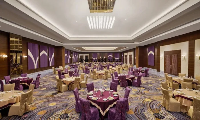 Voyage The Solitaire Bliss